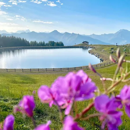 Alpine Dream House -