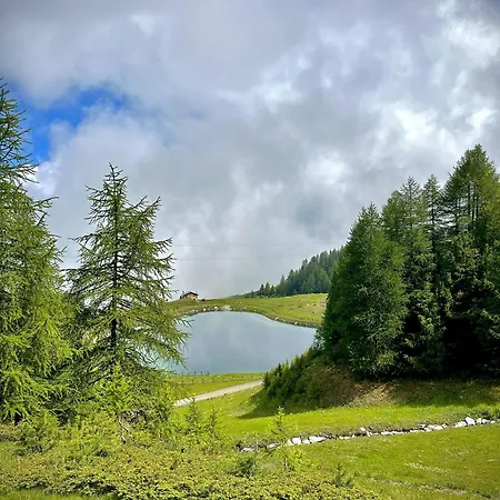 公寓 Alpine Dream House - *
