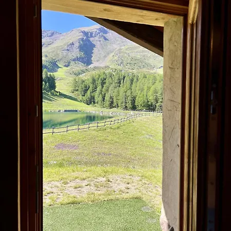 شقة Alpine Dream House - *
